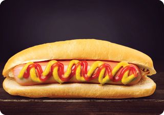 Βραστήρας Hot Dog Redfox WE 11 -thumb-3