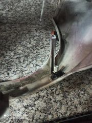 Μουτρο από Yamaha x max 250-thumb-7