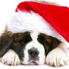 Αγίου Βερνάρδου