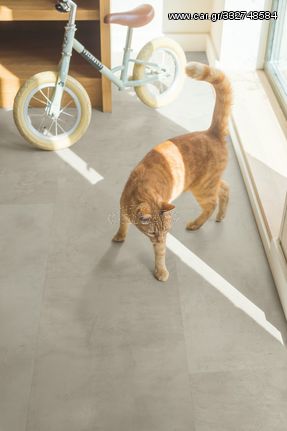 Laminate Quick-Step Muse MUS5488 Grey concrete