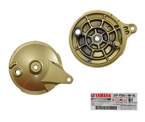 Κιθάρα Πίσω OEM Χρυσαφί (SPECIAL EDITION) CRYPTONX-135