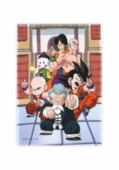 DRAGON BALL - Tournament - Magnet "10x15x1cm"