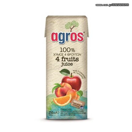 ΧΥΜΟΣ AGROS 4 ΦΡΟΥΤΑ 250ml