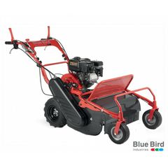 BLUE BIRD FM600  ΒΕΝΖΙΝΟΚΙΝΗΤΟΣ ΑΥΤΟΠΡΟΩΘΟΥΜΕΝΟΣ ΚΑΤΑΣΤΡΟΦΕΑΣ ΧΟΡΤΩΝ ΚΑΙ ΚΛΑΔΙΩΝ 7HP (120883190)