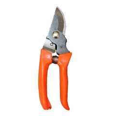 ΨΑΛΙΔΙ ΚΛΑΔΕΜΑΤΟΣ ΠΛΑΪΝΟ PRUINING SHEARS