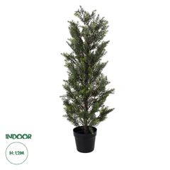 GloboStar® Artificial Garden LEMON CYPRESS 20151 Τεχνητό Διακοσμητικό Φυτό Λεμονόκυπάρισσο Υ120cm
