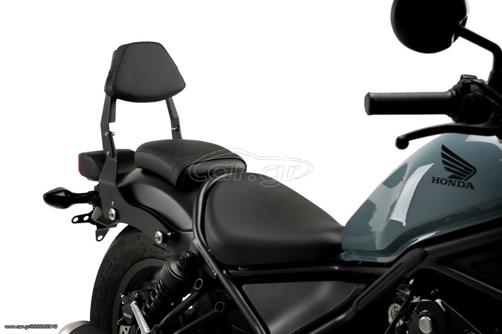 Detachable Sissy Bar 