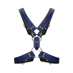 Scottish Harness - Blue-thumb-3