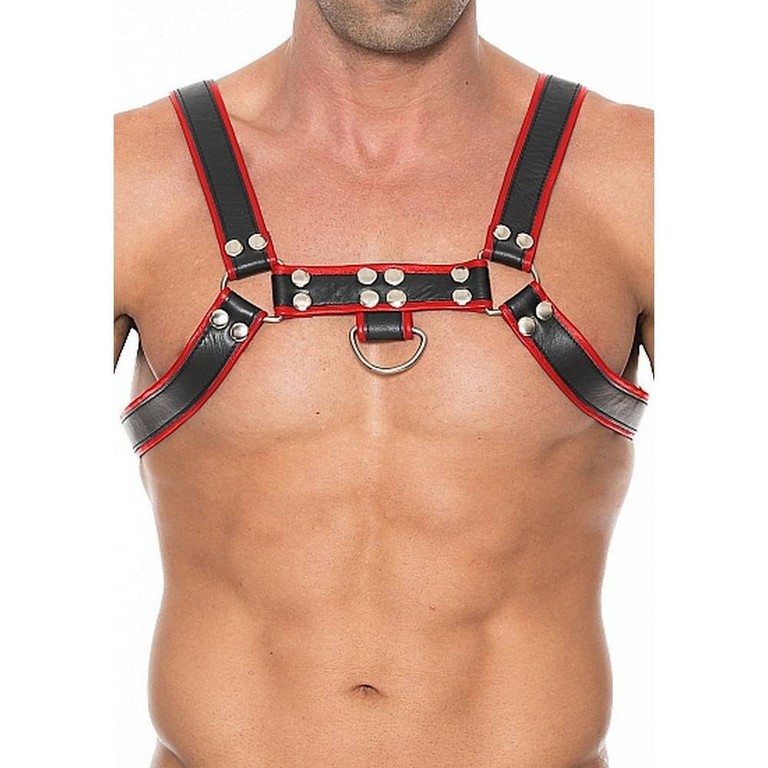 Chest Bulldog Harness Red