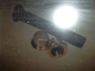 80406-V5001-thumb-1