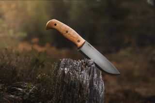 Helle Nord-thumb-7