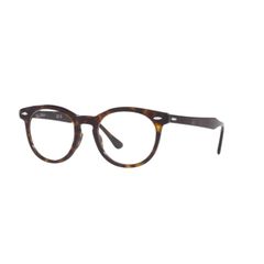 RAY-BAN FRAMES 5598 2012