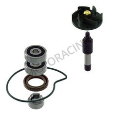 ΑΝΤΛΙΑ ΝΕΡΟΥ PIAGGIO BEVERLY 300 09'-11' RMS