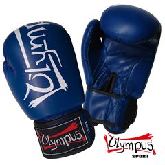Boxing Gloves Olympus - Training III PU