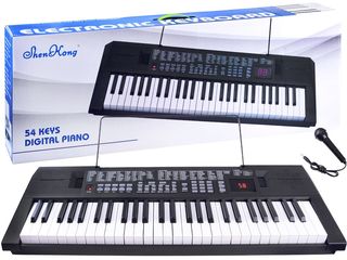 Digital piano Organ 54 keys IN0119