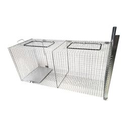 ΠΑΓΙΔΑ ΜΕΓΑΛΩΝ ΖΩΩΝ