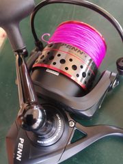 PENN FIERCE 6000-thumb-5