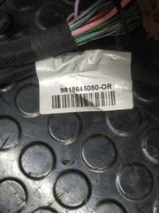 CITROEN C4 CACTUS ( 14 - 20  )  ΚΑΛΩΔΙΩΣΗ ΚΙΝΗΤΗΡΑ  9675531380,     9818645080    #14057-thumb-1