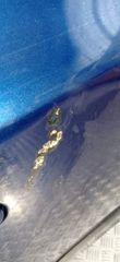 ΠΟΡΤΑ ΟΠΙΣΘΙΑ ΔΕΞΙΑ SKODA FABIA (2007-2014)-thumb-3