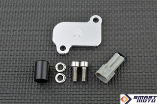 AIS Valve κίτ κατάργησης με Block Off plates Yamaha Wolverine Grizzly Kodiak Raptor Viking 700