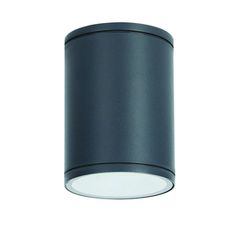 Φωτιστικό οροφής κυλινδρικό Ε27 PAR30 MAX35W 230V AC σε σκούρο γκρι χρώμα κατάλληλο για εξωτερικό χώρο IP65