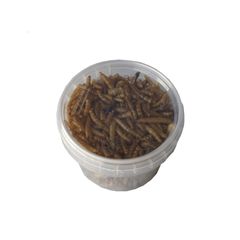 Αποξηραμένα Aλευροσκούληκα Mealworm 100ml/20gr