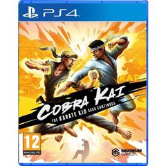 Cobra Kai: The Karate Kid Saga Continues / PlayStation 4