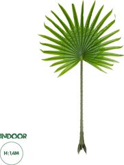 GloboStar Artificial Garden Serenoa Palm Leaf Τεχνητό Διακοσμητικό Φύλο Φοινικόδεντρου Σερενόα Βεντάλια Π77 x Υ140cm - (20172)