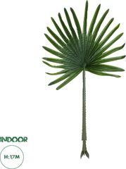 GloboStar Artificial Garden Serenoa Palm Leaf Τεχνητό Διακοσμητικό Φύλο Φοινικόδεντρου Σερενόα Βεντάλια Π90 x Υ170cm - (20174)