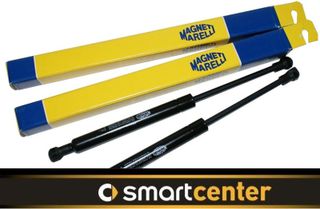 ΑΜΟΡΤΙΣΕΡ ΜΠΑΓΚΑΖ (MARELLI) 451