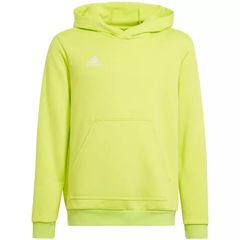 Sweatshirt adidas Entrada 22 Hoody Jr HC5069