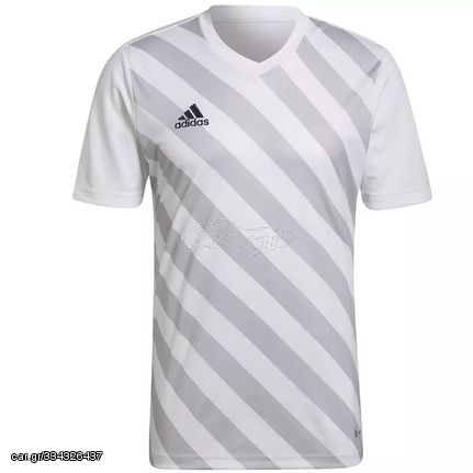 T-shirt adidas Entrada 22 Graphic Jersey M HF0129