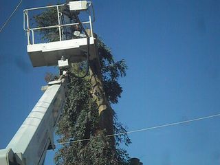 Bucket Trucks 2003-thumb-3