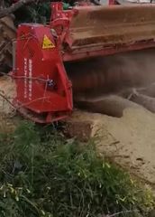 Καταστροφείς Χόρτων/Κλαδιών 2025 ΙΤΑΛΙΑΣ ΣΚΑΡΑΜΑΓΚΑΣ ΚΩΝΣΤΑΝΤΙΝΟΣ-thumb-91