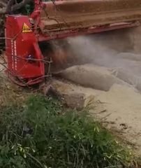 Καταστροφείς Χόρτων/Κλαδιών 2025 ΙΤΑΛΙΑΣ ΣΚΑΡΑΜΑΓΚΑΣ ΚΩΝΣΤΑΝΤΙΝΟΣ-thumb-108