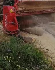 Καταστροφείς Χόρτων/Κλαδιών 2025 ΙΤΑΛΙΑΣ ΣΚΑΡΑΜΑΓΚΑΣ ΚΩΝΣΤΑΝΤΙΝΟΣ-thumb-31