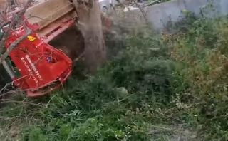 Καταστροφείς Χόρτων/Κλαδιών 2025 ΙΤΑΛΙΑΣ ΣΚΑΡΑΜΑΓΚΑΣ ΚΩΝΣΤΑΝΤΙΝΟΣ-thumb-37