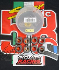 Ραουλα Variator Σετ Dr.Pulley Racing 25×17 16gr Για Piaggio/Gilera/Aprilia 400-500cc Καινούργια Γνήσια