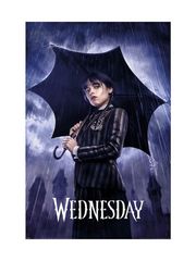 Pyramid Αφίσα WEDNESDAY - Downpour - Poster 61x91cm NO.15 (PP35274)
