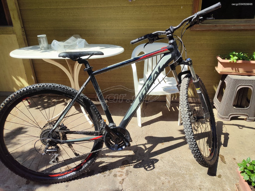All - Mountain Ideal 2019 Prorider 