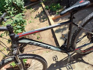 All - Mountain Ideal 2019 Prorider -thumb-1