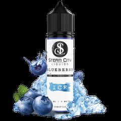 Steam City The Classics Blueberry Ice 10/60ml Flavorshot