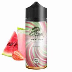 Steam Train Turn Out 24/120ml Flavorshots
