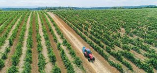 Δενδροκομικά Τρακτέρ McCormick 2026 X3.80F/75HP STAGE V-thumb-18