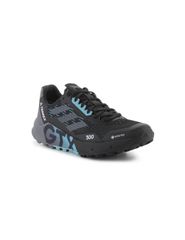 Shoes adidas Terrex Agravic Flow 2 GTX M H03382