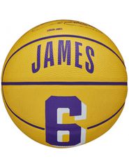 Wilson Player Icon Mini Μπάλα Μπάσκετ Indoor/Outdoor WZ4007401XB Stephen Curry