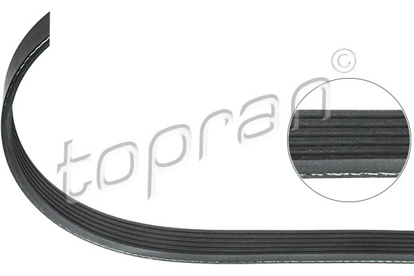 ribbed v-belt