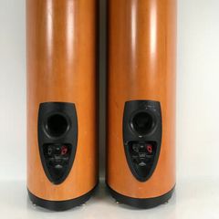 ΗΧΕΙΑ  MARTIN  LOGAN  CLARITY-thumb-8