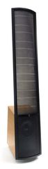 ΗΧΕΙΑ  MARTIN  LOGAN  VISTA-thumb-3