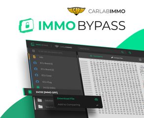 Immo Bypass Software